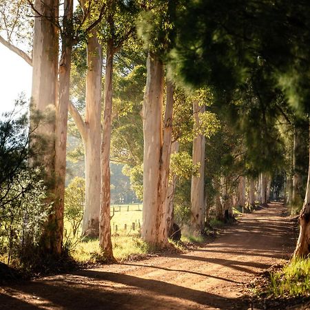 Karrak Reach Forest Retreat Denmark Dış mekan fotoğraf